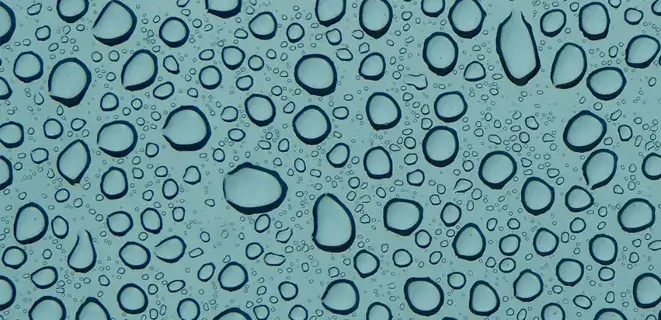 Case Study Image